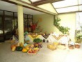 /album/eb1-ji-casaldelo/a5-jpg/