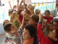 /album/eb1-ji-fundo-de-vila/alimenta%c3%a7ao4-jpg/